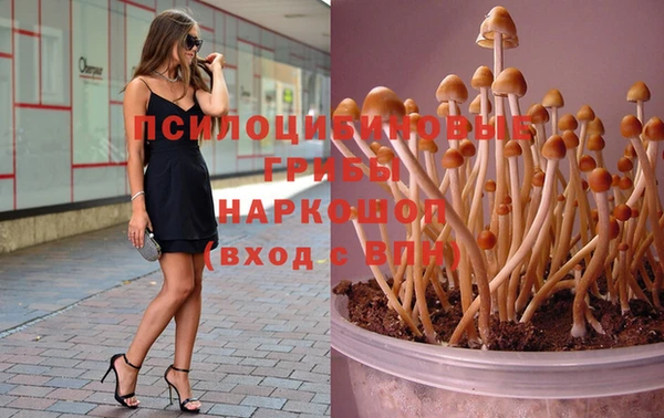 кокс Арсеньев