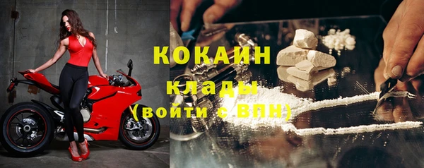 кокс Арсеньев