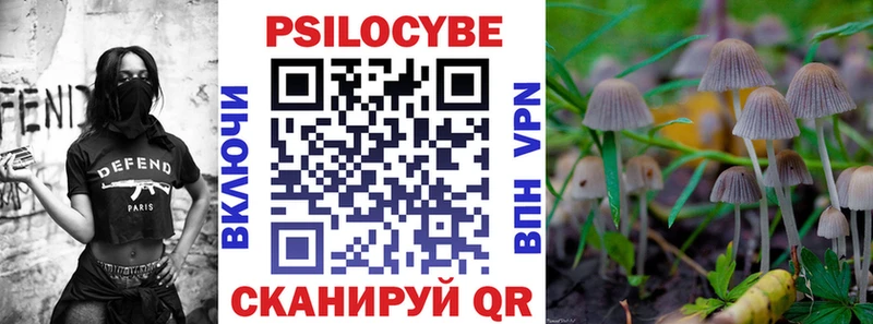 blacksprut рабочий сайт  Ленск  Галлюциногенные грибы Psilocybe 